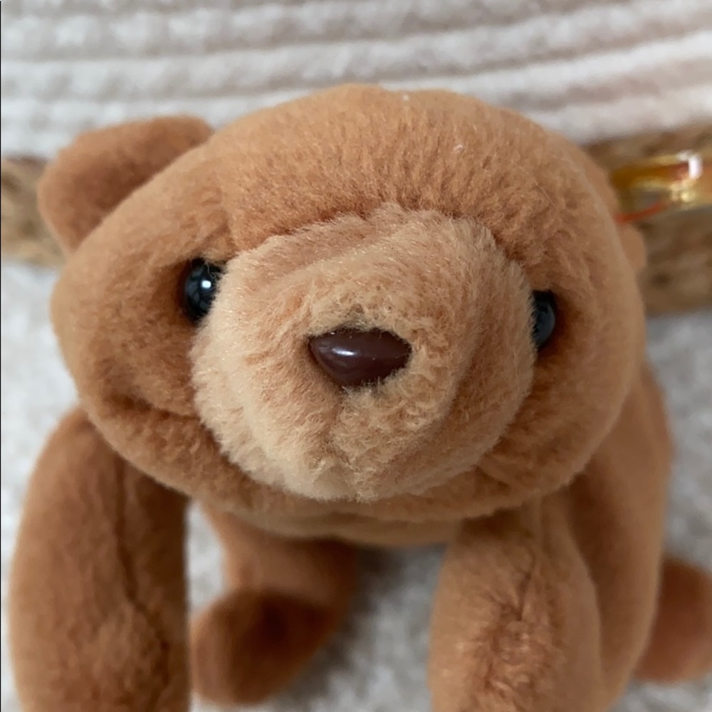 🔴RARE🔴 Brown nose Cubbie the 🐻